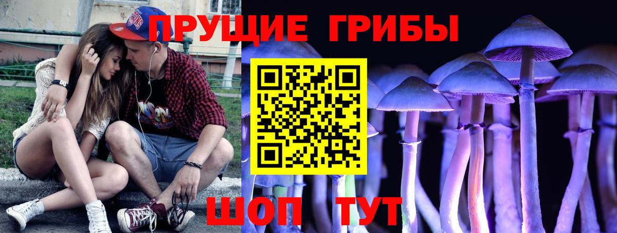 Псилоцибиновые грибы прущие грибы Десногорск