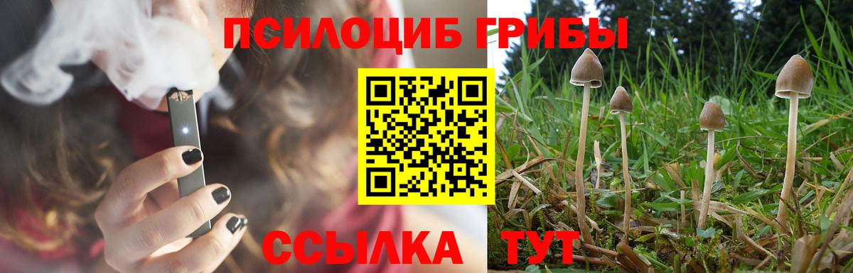 Десногорск  Псилоцибиновые грибы прущие грибы  Вход с VPN 